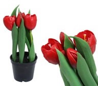 Tulip Tulipány Pogumované Kvety AKO ŽIVÉ