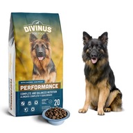 Divinus Performance PRE OVČIARSKYCH PSOV 20kg