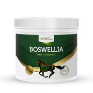 HorseLinePRO Boswellia Serrata 500g protizápalové