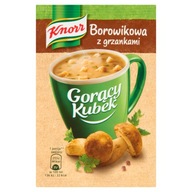 Balenie 40 ks Knorr Hot Mug of Boletus s vareným vínom