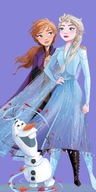 Frozen Anna Elsa osuška 70x140 bavlna 100% rýchloschnúca