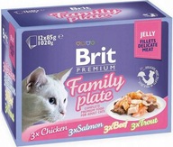 BRIT CAT FAMILY TANIER ŽELÉ ZMES CHUTÍ 12x85g