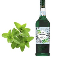 Barmanský sirup MÄTOVÁ PRÍCHUŤ MÄTA MÄTA 1L