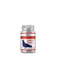 FLYVET Antifungus 100 ml - BAKTERICÍDNY PRÍPRAVOK