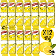 FRITT LEMON JEDNORÁZOVÁ ŽUVAČKA Citrón 70G x12 0,84KG 72 listov