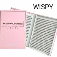 TUNKS EYELASHES FANS READY HOLLYWOOD LASHES 1200ks 5D 0,07C MIX WISPY