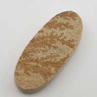 Cabochon psilomelan dendrit ~48x21 mm č. 2