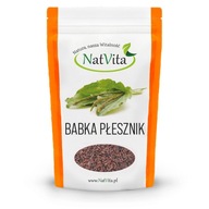 Psyllium semená 2kg NatVita