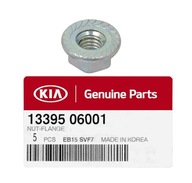 Matica plniaceho pohonu HYUNDAI KIA 13395-06001