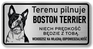 Pozor pes Nerezový plech Bostonský teriér