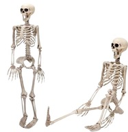 DEKORÁCIA NA SKELET SKELETON HALLOWEEN 90 CM