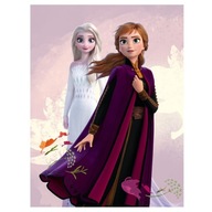 DEKA 100X140 FROZEN ANNA ELSA RUŽOVÁ