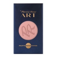 Pierre Rene Art Palette Match Systém líceniek na magnetickú paletku 02 5,5 P1