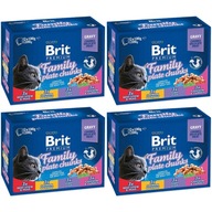 Brit Cat vrecúška rodinný tanier 48x100g