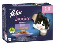 Felix Fantastic Junior food mix príchutí 12x85g