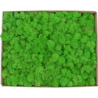 Moss Moss Moss PREMIUM Svetlozelené jablko 1000g