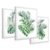 SET Zarámované obrazy plagáty listy monstera palmový zlatý triptych 43x99