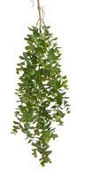 EUCALYPTUS závesná girlanda brečtan presah 80 cm