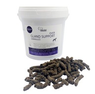 Granule Over Gland Support 600g análne žľazy