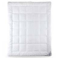 AMW Quilt Clinic+ 180x200 1350g