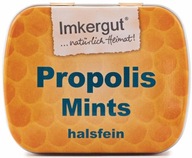 PASTILE propolis-mäta propolisový med