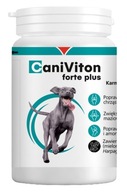 Vetoquinol Caniviton Forte Plus 90 tabliet