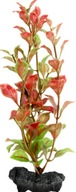 Tetra DecoArt Red Ludwigia L - červená ludwigia