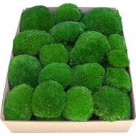 PREMIUM Cushion Moss Dark Green 0,12 m2