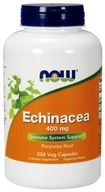 TERAZ Echinacea 400mg ECHINA COLD USA 250k