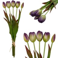 TULIPANY KYTICA TULIPÁNOV, VYSOKÁ GUMA, 5 KS