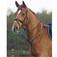 BUSSE BASIC Pony martingal prsia