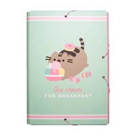 CAT PUSHEEN leporelo A4 KARTÓN silný VTIPNÝ