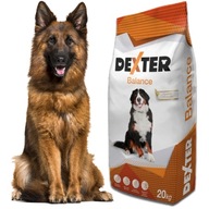 ZDRAVÝ LABRADOR ZLATÝ HUSKY OVČIAK Dexter 20 kg