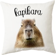 Vankúš CAPYBARA ANIMAL FUNNY PALLOW 40x40 cm ako darček