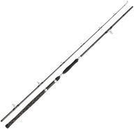 Penn Legion Cat Silver Power AR 3,00m 200-400g