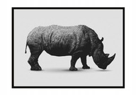 OBRAZOVÝ PLAGÁT V RÁME 33x43 cm Rhinoceros P1060