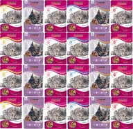 Mokrá mačka pre CAT Super Benek vrecká pre príchute Cat Mix 24x100G