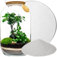 Biely kremenný piesok DEKORATÍVNY les v sklenenej nádobe 0,1-0,5 mm 10 kg