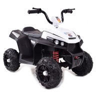 BATERIE QUAD, DVA MOTORY, DVE BATÉRIE,