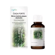 Befungin (tinktúra Chaga) 100 ml