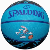 Basketbalový tím Spalding Space Jam Tune Squad