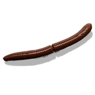 Libra Lures Worm Fatty D'Worm 65 Cheese BROWN