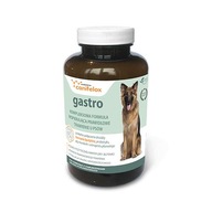 CANIFELOX Gastro Dog, 240g