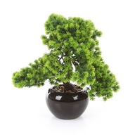 umelý BONSAI SMREKVEN 37 stromčekov v čiernom črepníku