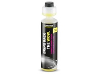 KARCHER Summer RM 672 kvapalina do ostrekovačov 250 ml