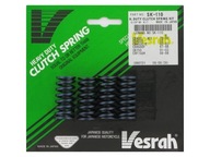 VESRAH PRUŽINY SPOJKY KAWASAKI KX 80 98-00, KX 85 01-17, BN 125