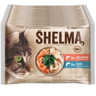 SHELMA FILETY DO TAŠKY MAČKY 48 X 85G MIX