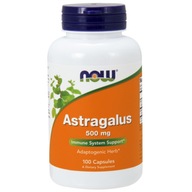 Astragalus - Astragalus 500 mg 100 kapsúl TERAZ Potraviny