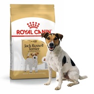 Royal Canin Breed Jack Russell dospelý 1,5 kg