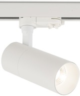 SPOT 10392 CTLS TINOS LED 30W 3000K 3-f.